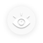 Vision-img